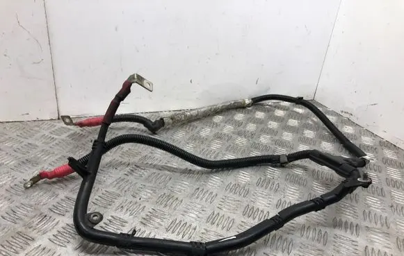 BMW 4 F32 F33 Positive cable (battery) 7823310 591479 EMC242