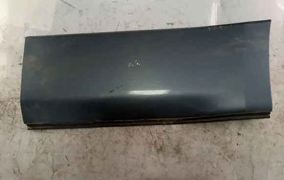 Suzuki Grand Vitara II Rear door trim (molding)