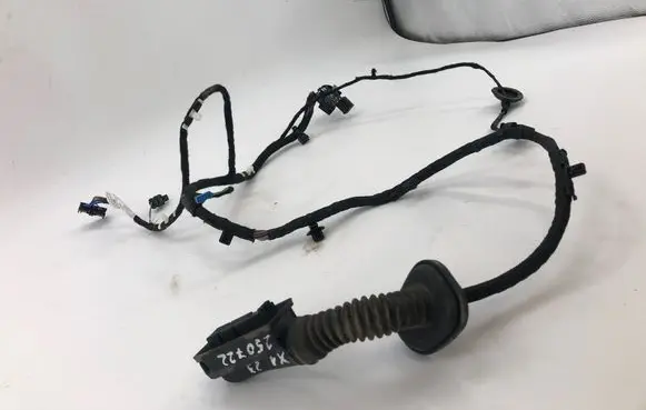 BMW X1 U11 Front door wiring loom 5a4356601 5a43566