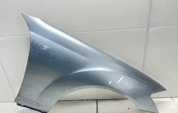 Mercedes-Benz S W221 Fender
