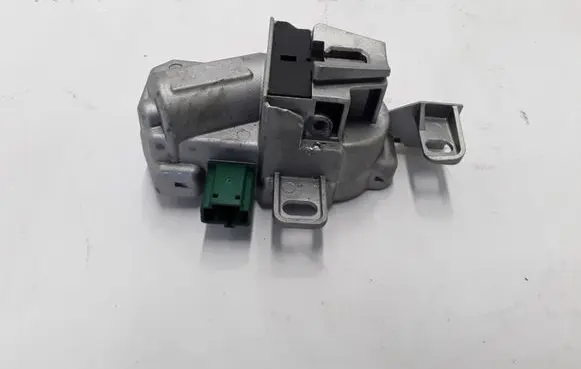 Steering wheel lock