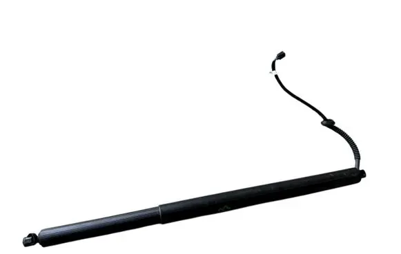 Tailgate strut