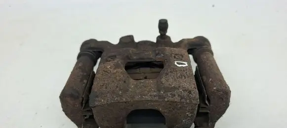 Nissan Juke I F15 Rear brake caliper 