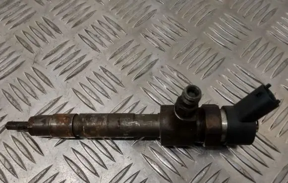 Fiat Punto (188) Fuel injector 0445110019