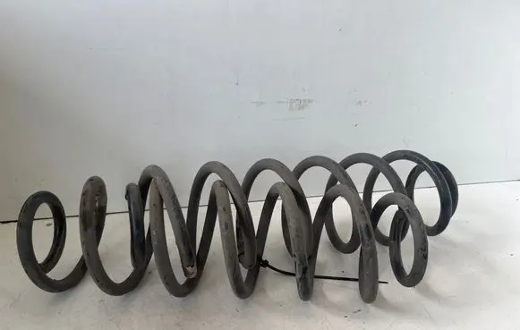 Rear coil spring