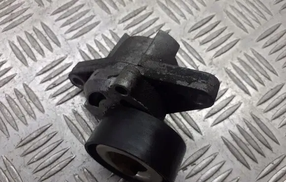 Dacia Sandero Alternator belt tensioner pulley 