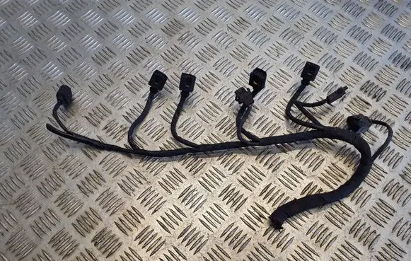 Chrysler Grand Voyager V Fuel injector wires 