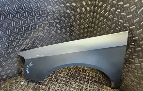 Volkswagen PASSAT B6 Fender 3C0821021