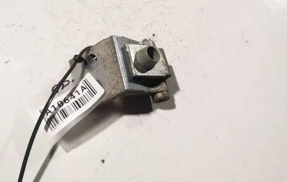 Peugeot 206 Rear door lower hinge