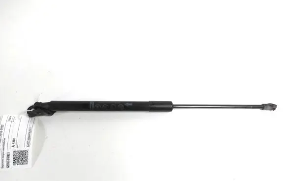 Tailgate strut