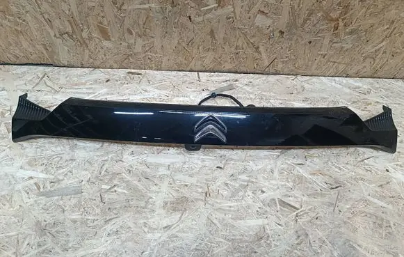 Trunk door license plate light bar