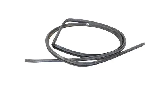 Nissan Qashqai Rubber seal front coupe door 