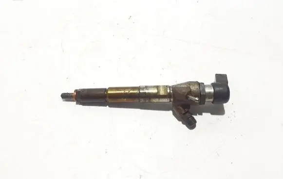 Renault Scenic III - Grand scenic III Fuel injector 166008052R