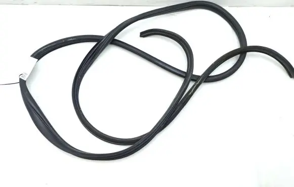 Opel Movano B Front door rubber seal
