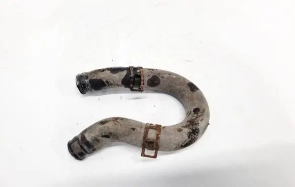 Honda Accord Engine coolant pipe/hose