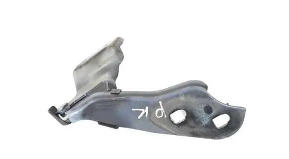 Tesla Model 3 Engine bonnet/hood hinges 109879200