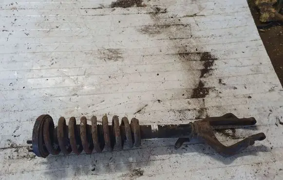 Honda Accord Front shock absorber with coil spring NOCODE