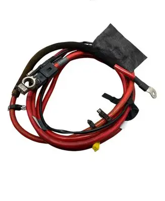 BMW X5 E53 Positive cable (battery) 6906910 10304410