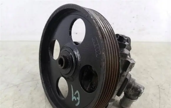 Peugeot 406 Power steering pump 9624659680
