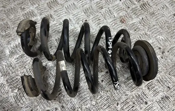Rear coil spring