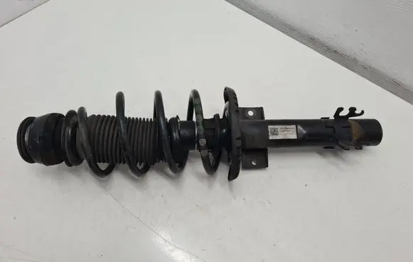 Skoda Fabia Mk3 (NJ) Front shock absorber/damper 6R0413031BF
