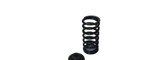 BMW X3 E83 Valve spring NOCODE