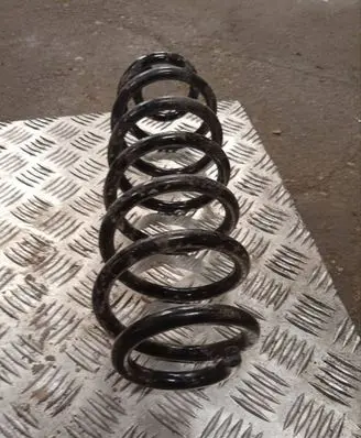 Rear coil spring