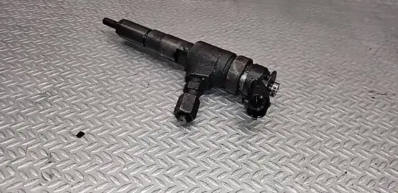 Peugeot 206 Fuel injector 0445110075 9641496180