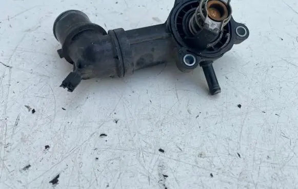 Thermostat/thermostat housing