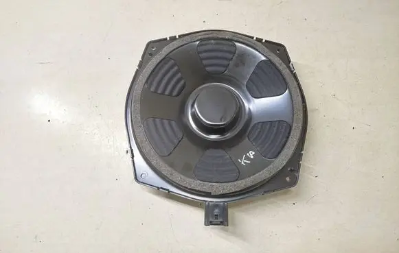 Land Rover Range Rover Sport L494 Front door speaker DPLA18808DB