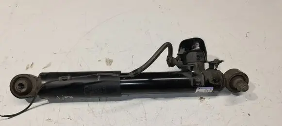 Lexus RX 450H Rear shock absorber/damper 4854048392