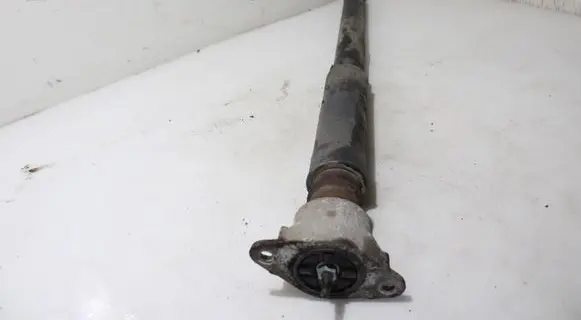 Ford B-MAX Rear shock absorber/damper