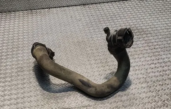 Citroen Berlingo Engine coolant pipe/hose