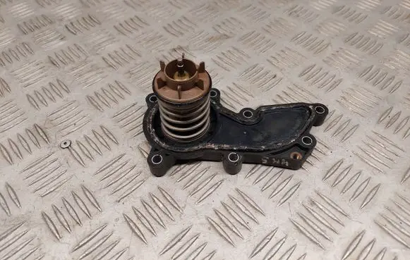 Thermostat/thermostat housing
