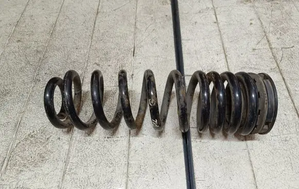 Rear coil spring