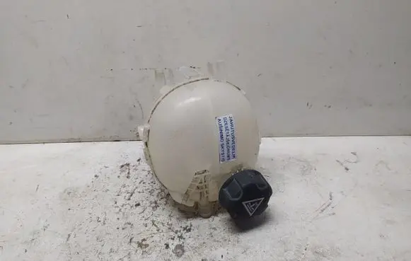 Peugeot 2008 II Coolant expansion tank/reservoir 9824198680