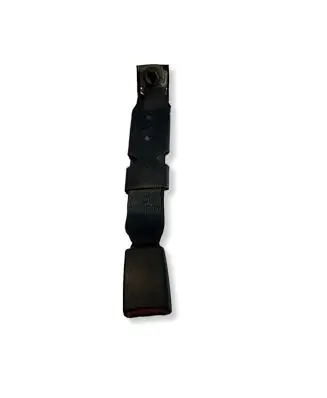 Dodge RAM 1500 DS Rear seatbelt buckle 34027322