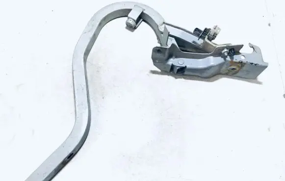 Tailgate/trunk/boot hinge