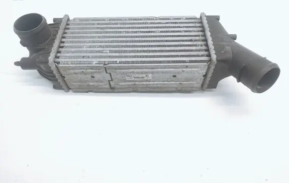 Peugeot 307 Intercooler radiator