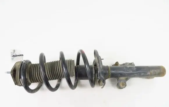 Front shock absorber with coil spring