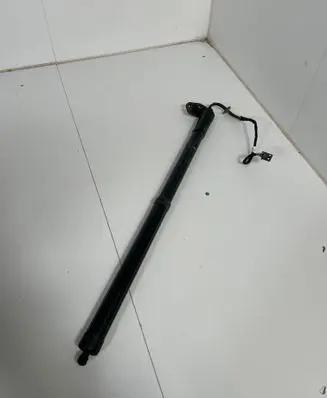 Tailgate/trunk strut/damper