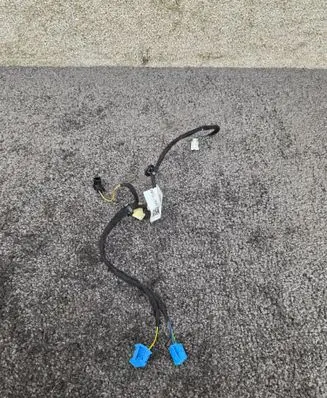 Rear door wiring loom