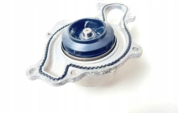 Porsche Cayenne (9Y0 9Y3) Water pump 06M121013