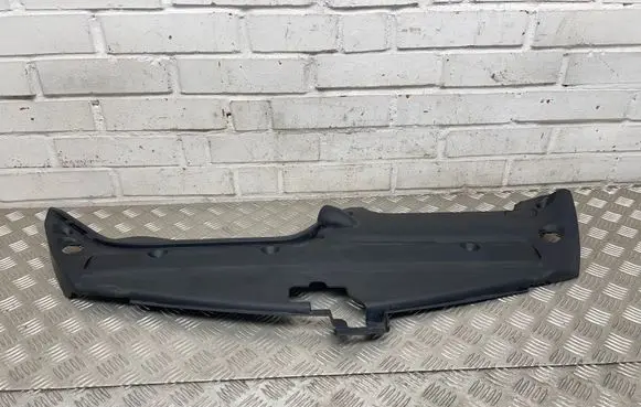 Engine bonnet/hood lock trim molding
