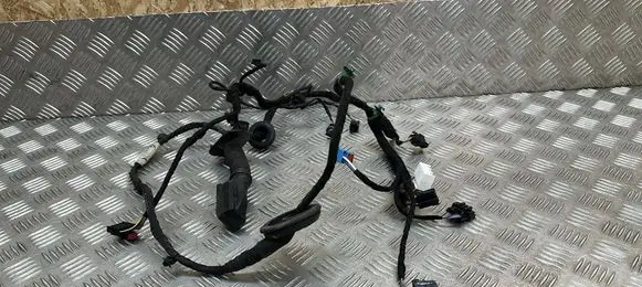 Audi A8 S8 D5 Rear door wiring loom 4N0971687AN 4N0971687