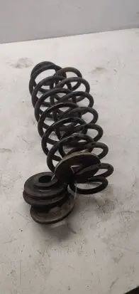 Rear coil spring