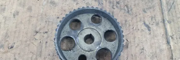 Volkswagen Sharan Fuel pump gear (pulley) 02813111A