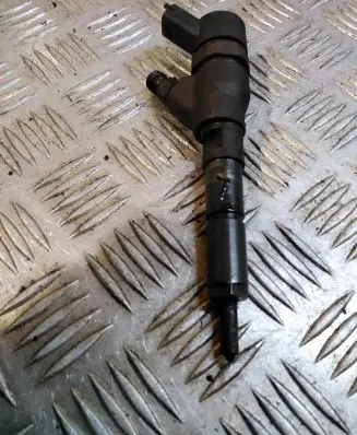 Citroen C5 Fuel injector 0445110076 9641742880