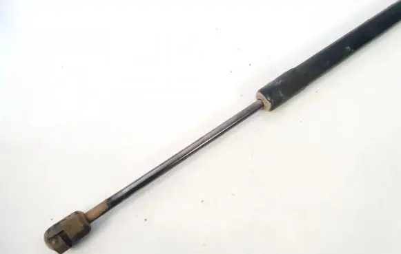 Tailgate/trunk strut/damper
