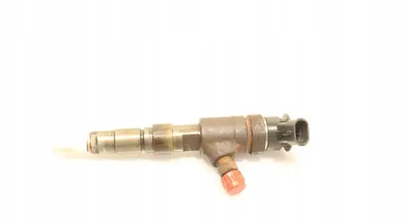 Citroen Berlingo Fuel injector